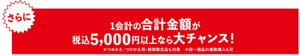 さらに1会計金額が税込5,000円以上なら大チャンス! ＊つめかえ・つけかえ用・期間限定品も対象 ＊同一商品の複数購入も可