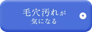 毛穴汚れが気になる