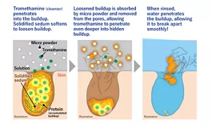 Tromethamine (cleanser) penetrates into the buildup. Solidified sedum softens to loosen buildup. Loosened buildup is absorbed by micro powder and removed from the pores, allowing tromethamine to penetrate even deeper into hidden buildup. When rinsed, water penetrates the buildup, allowing it to break apart smoothly!