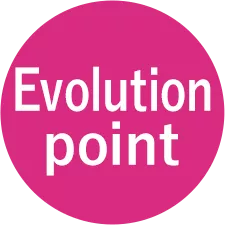 Evolution point