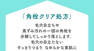 「角栓クリア処方」毛穴目立ちや黒ずみ汚れの一因の角栓を分解してしっかり落とします。毛穴の目立たないすっきりつるり なめらかな素肌に