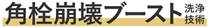 角栓崩壊ブースト洗浄技術
