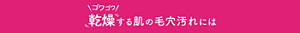 毛穴汚れが気になる方には