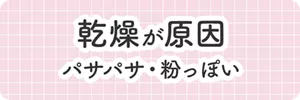 乾燥が原因 パサパサ・粉っぽい