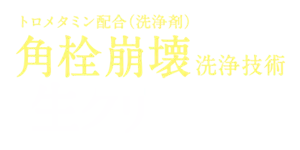 トロメタミン配合（洗浄剤）角栓崩壞洗淨技術 生クリーム泡