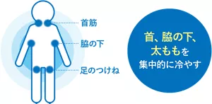 首、脇の下、太ももを集中的に冷やす