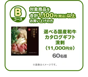 ［Bコース］対象商品を合計1,100円（税込）以上お買い上げの方：選べる国産和牛カタログギフト溌剌（11,000円分） 60名様