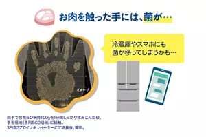お肉を触った手には、菌が…　冷蔵庫やスマホにも菌が移ってしまうかも…　両手で合挽ミンチ肉100gを1分間しっかり揉みこんだ後、手を培地（手形SCD培地）に接触。3日間37℃インキュベーターにて培養後、撮影。