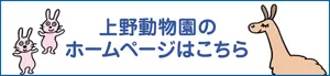 上野動物園のホームページはこちら