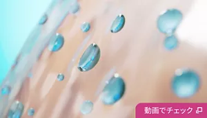 動画でチェック