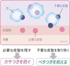必要な皮脂を残し、カサつきを防ぐ。不要な皮脂を取り除き、ベタつきを抑える。