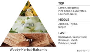 TOP : Lemon, Bergamot, Pine needle, Eucalyptus, Lavender, Neroli／MIDDLE : Jasmine, Thyme, Ginger／LAST : Cedarwood, Sandalwood Olibanum, Myrrh, Patchouli, Musk（香りのイメージ）