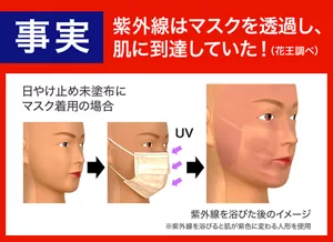 ［事実］紫外線はマスクを透過し、肌に到達していた！（花王調べ）
