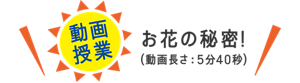［動画授業］お花の秘密！（動画長さ：5分40秒）