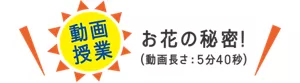 ［動画授業］お花の秘密！（動画長さ：5分40秒）