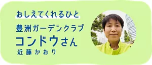 おしえてくれるひと：豊洲ガーデンクラブ コンドウ（近藤かおり）さん