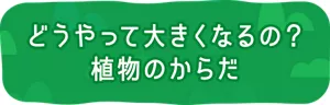 どうやって大きくなるの？ 植物のからだ