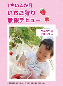 1さい4か月 いちご狩り無限デビュー「かぶりつき止まらず♡」※発育段階に合わせて、ルールを守り安全に遊ばせましょう。