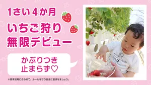 1さい4か月 いちご狩り無限デビュー「かぶりつき止まらず♡」※発育段階に合わせて、ルールを守り安全に遊ばせましょう。