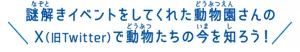 謎解きイベントをしてくれた動物園さんのX（旧Twitter）で動物たちの今を知ろう！