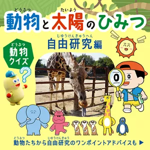 ［動物クイズ］動物と太陽のひみつ 自由研究編。動物たちから自由研究のワンポイントアドバイスも