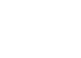 I.N