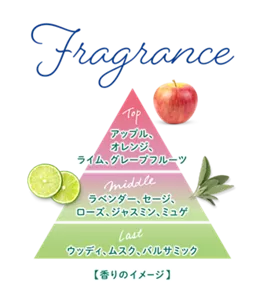 Fragrance　Top：アップル、 オレンジ、 ライム、グレープフルーツ。Middle：ラベンダー、セージ、 ローズ、ジャスミン、ミュゲ。Last：ウッディ、ムスク、バルサミック