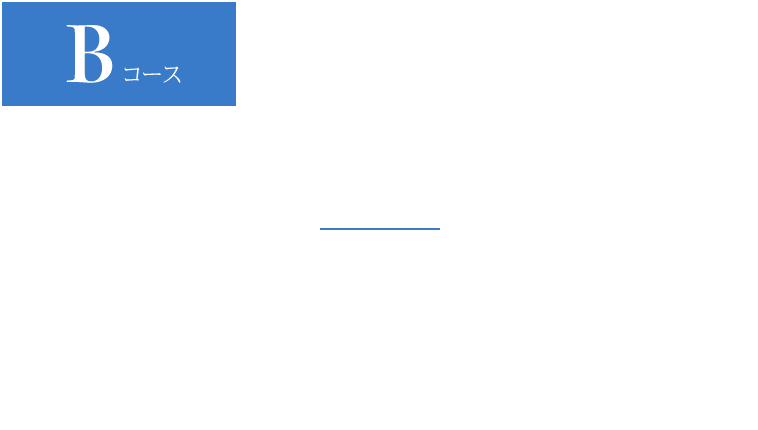 Bコース 500名様に当たる ビオレUV商品2点購入 SKZOOオリジナルキーホルダー