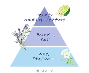 Top：マンダリン、ベルガモット、アクアティック。Middle：ラベンダー、ミュゲ。Last：ムスク、ドライアンバー。（香りイメージ）