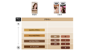 黒髪用・白髪用ヘアカラー ブラウン系明るさ対応表