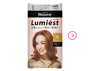 ルミエスト製品ページへ