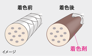ヘアマスカラなどで一時的に着色するイメージイラスト