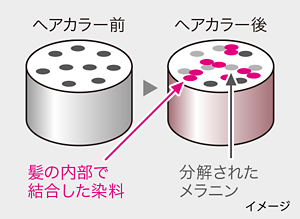 脱色して髪を染めるイメージイラスト