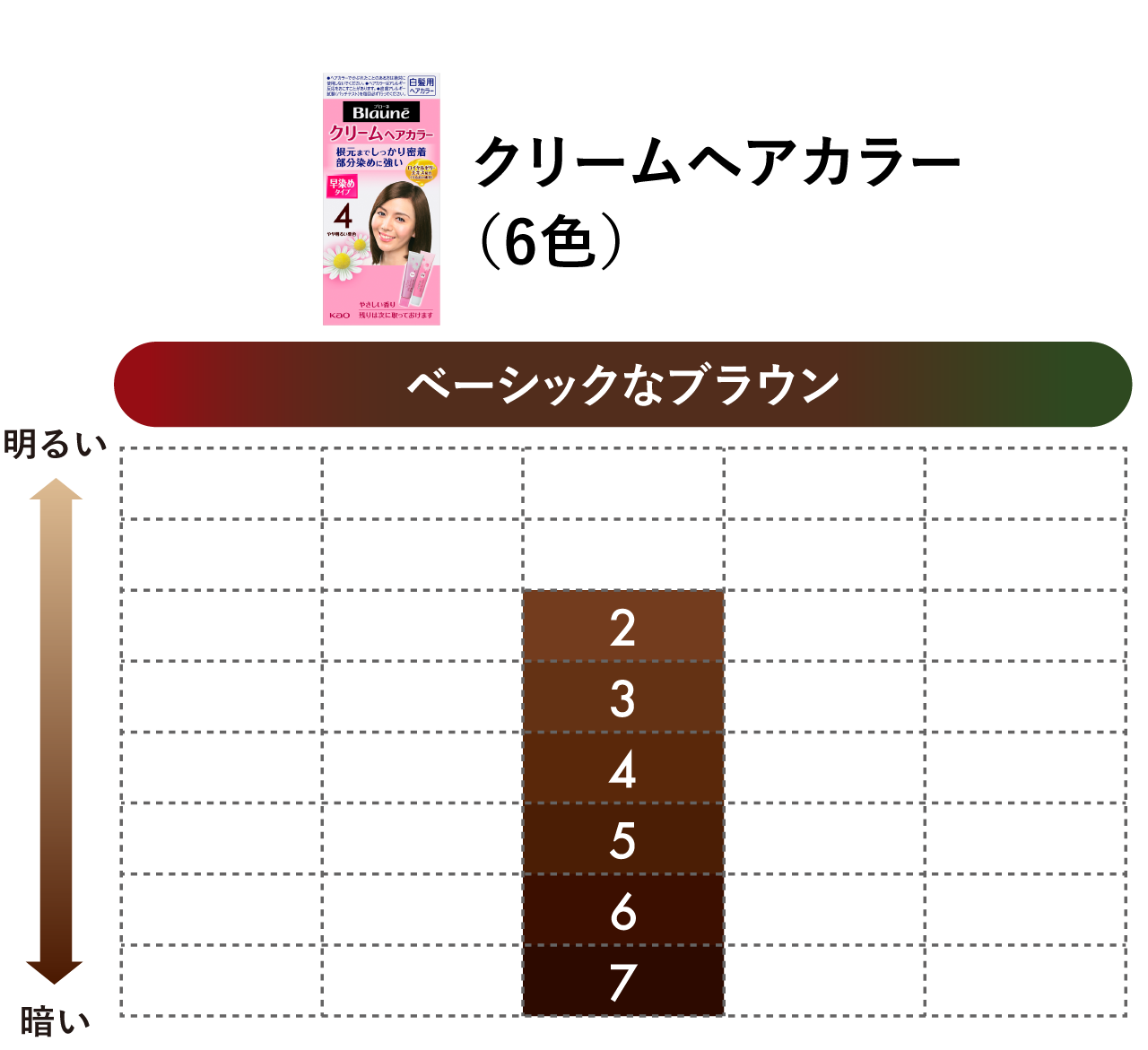 クリームヘアカラー | 製品ラインナップ | ブローネ | 花王株式会社