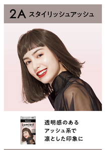 2A スタイリッシュアッシュ