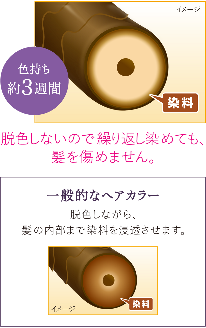 美髪ヘアマニキュア | 製品ラインナップ | ブローネ | 花王株式会社