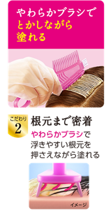 やわらかブラシでとかしながら塗れる　こだわり2 根元まで密着　やわらかブラシで浮きやすい根元を押さえながら塗れる