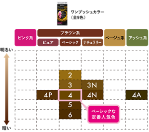 ワンプッシュカラー カラーバリエーション（全9色）　ピュアブラウン系：4P 　ベーシックブラウン系：2 3 4(ベーシックな定番人気色) 5 6　ナチュラリーブラウン系：3N 4N　アッシュ系：4A　※小さい数字ほど明るい色になります