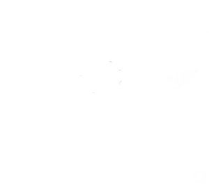 ステップ1のイメージ画像。湯船に錠剤2錠を入れた様子