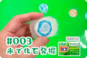 #003 氷で化石発掘の詳細情報へ。バブ厳選森の香りのパッケージ画像［医薬部外品］背景はお風呂場。
