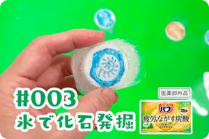 #003 氷で化石発掘の詳細情報へ。バブ厳選森の香りのパッケージ画像［医薬部外品］背景はお風呂場。