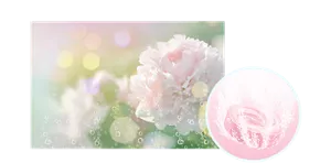 サニーフローラルの香りのイメージ画像。湯の色ライトピンク（色つき透明）を表すイメージ画像