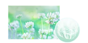  グリーンブリーズの香りのイメージ画像。湯の色エアリーグリーン（色つき透明）を表すイメージ画像