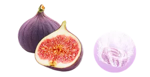 まろやか無花果の香りのイメージ画像。湯の色ピュアパープル（色つき透明）を表すイメージ画像