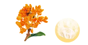 ふわり華やぐ金木犀の香りのイメージ画像。湯の色ノスタルジックイエロー（色つき透明）を表すイメージ画像