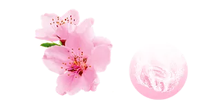 凛とした桜の香りのイメージ画像。湯の色ノーブルピンク（色つき透明）を表すイメージ画像