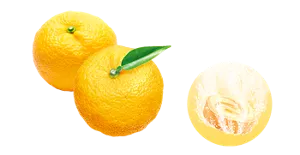 ほっと、なごむゆずの香りのイメージ画像。湯の色ナチュラルイエロー（色つき透明）を表すイメージ画像