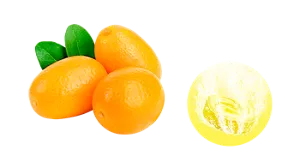 完熟きんかんの香りのイメージ画像。湯の色フレッシュイエロー（色つき透明）を表すイメージ画像