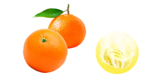 甘蜜みかんの香りのイメージ画像。湯の色ジューシーイエロー（色つき透明）を表すイメージ画像