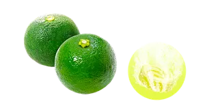 さわやかなすだちの香りのイメージ画像。湯の色フレッシュグリーン（色つき透明）を表すイメージ画像